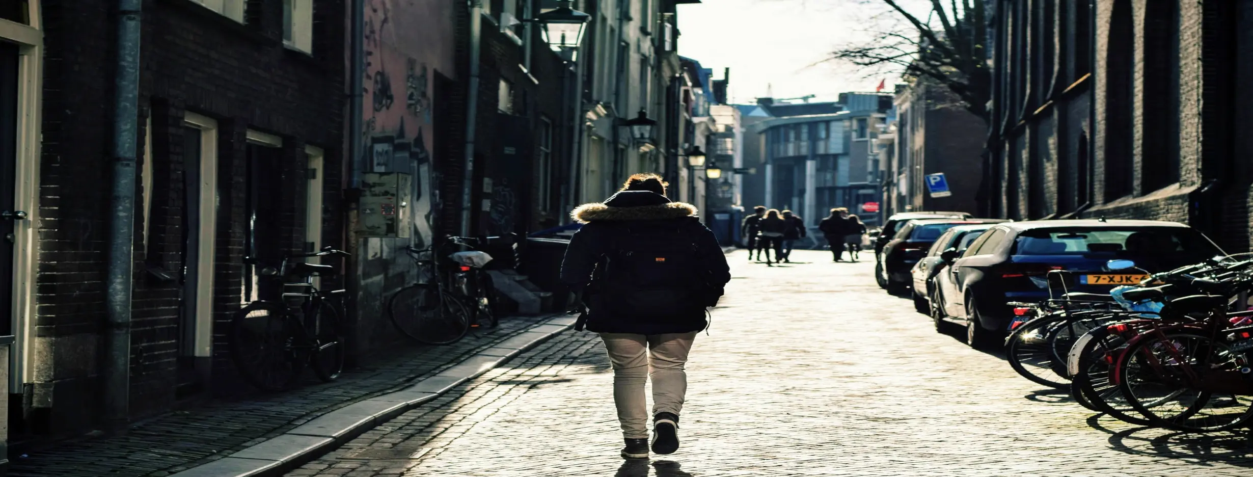 Image for City Walks